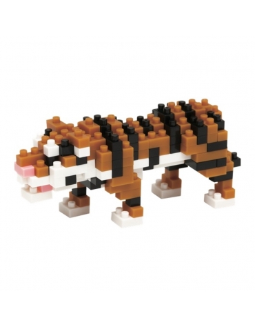 Tigre de Bengala NBC_104  Nanoblock